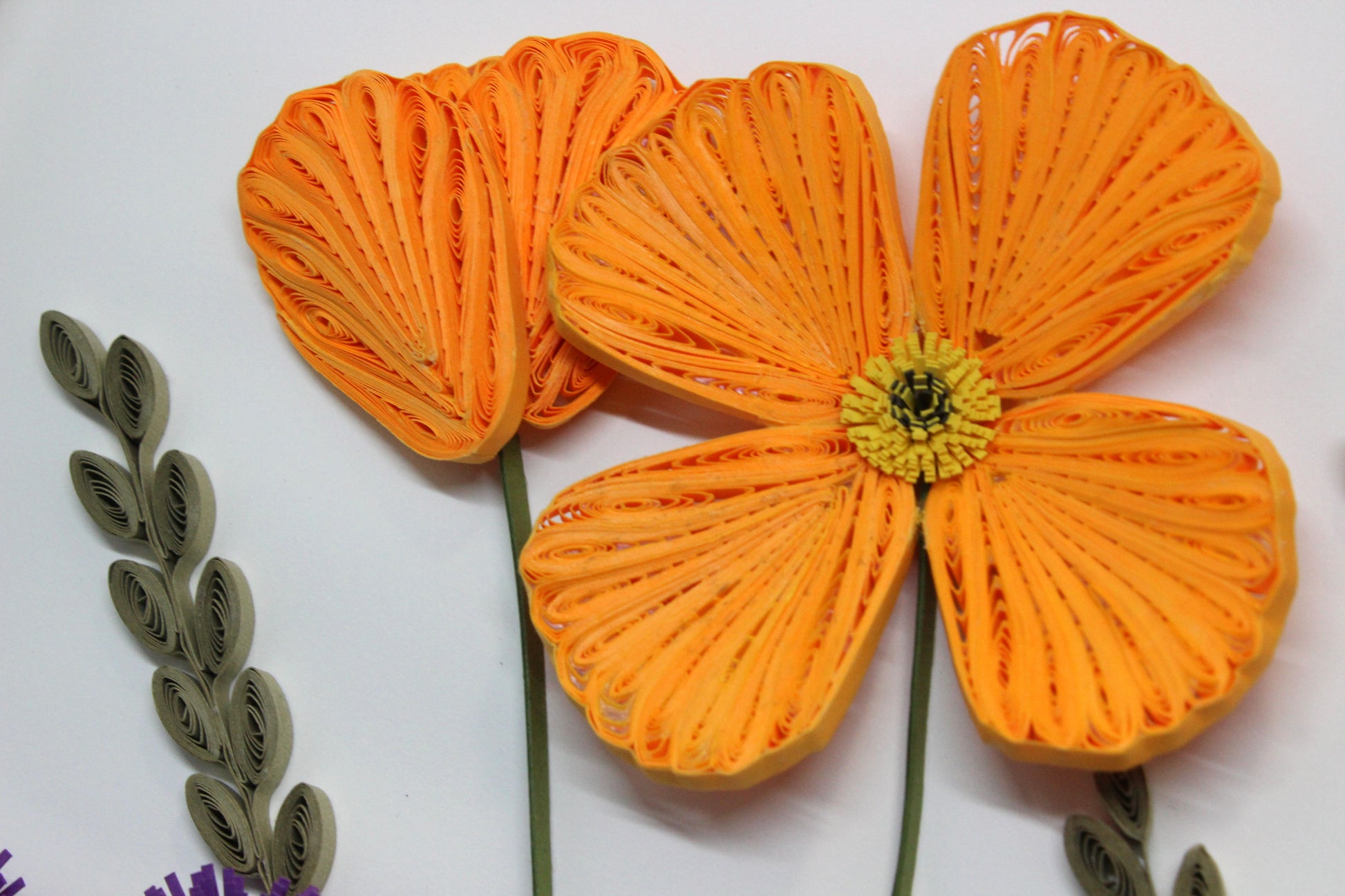 close up of quilled orange poppies